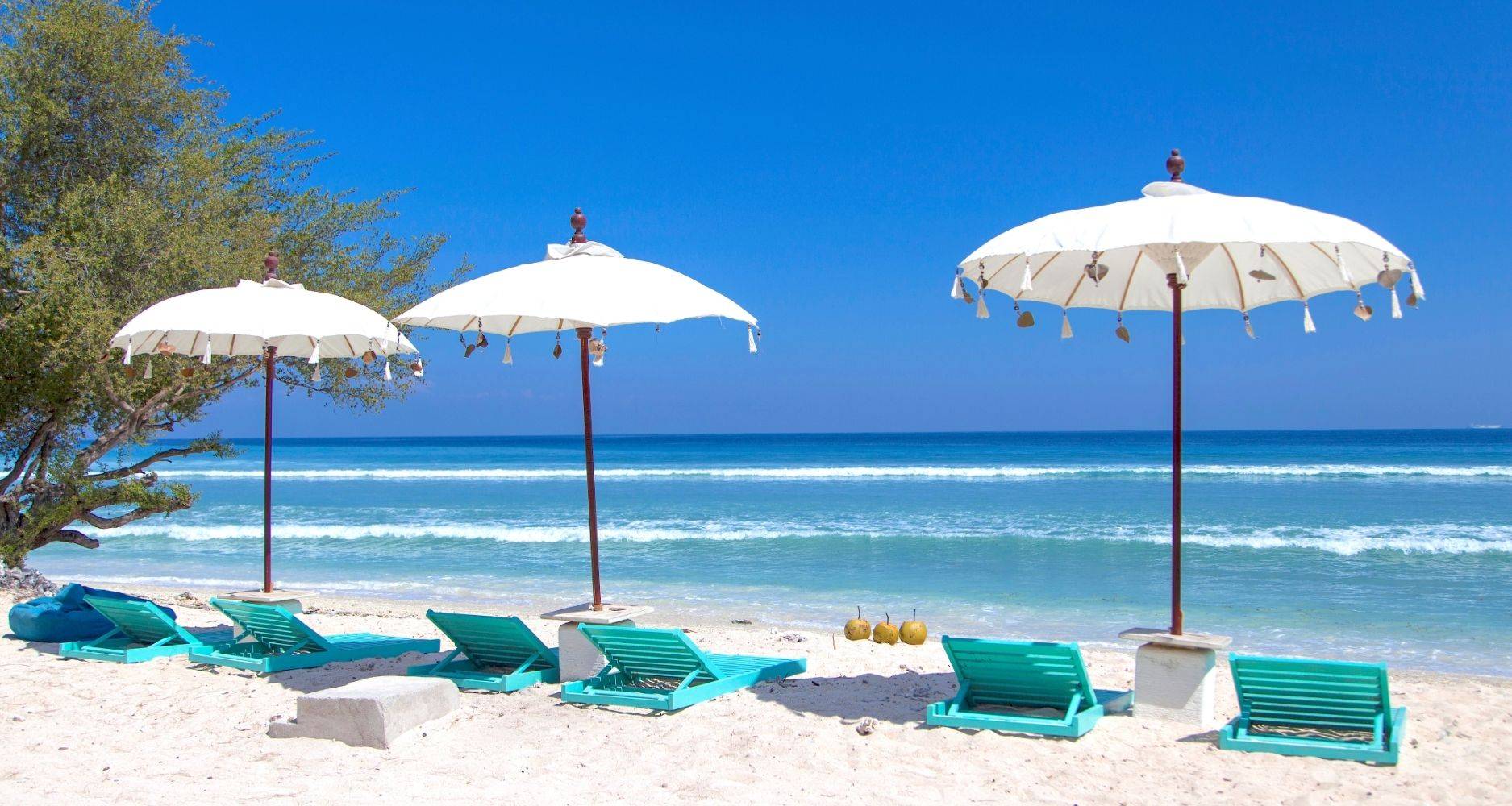 Your Dream Vacation Starts Here: A Fast Boat Experience with Karunia Jaya